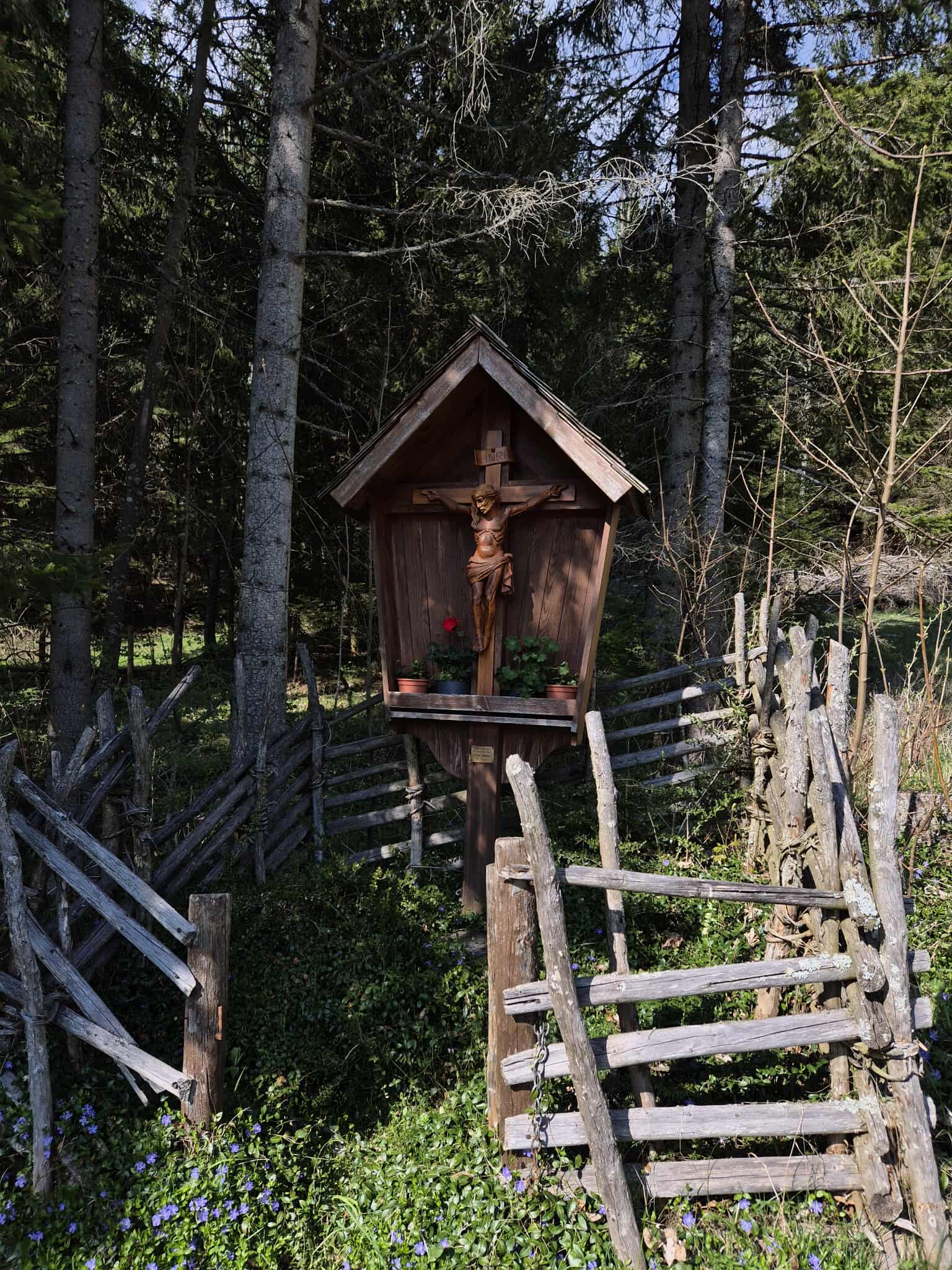 Description of the image